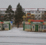 Цвуетнф - Noyabrsk-Inform.Ru