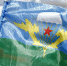 В фото - Noyabrsk-Inform.Ru