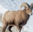 7988d4891546372890cc0590d2945f98_1120_672 - Noyabrsk-Inform.Ru