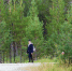 лес - Noyabrsk-Inform.Ru