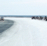 арктика миграция - Noyabrsk-Inform.Ru