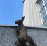 Pm2n8luxJ8DL8wk0mrVEOc_vPoyf7FTab6JtuZoKT7QW9Wcp8EdoX7aei6Voqi6tlqoedINfaCxLoyeb7Z7f_lJK - Noyabrsk-Inform.Ru