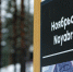 Жители Ноябрьска решат, где в городе обустроят точки доступа к Wi-Fi - Ноябрьск 24