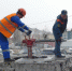 ЭГНгидранты - Noyabrsk-Inform.Ru