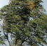 viber_image_2023-06-15_10-11-04-838 - Noyabrsk-Inform.Ru