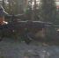 ANNA9588 - Noyabrsk-Inform.Ru