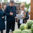 рейд овощи фрукты - Noyabrsk-Inform.Ru
