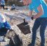 субботник - Noyabrsk-Inform.Ru