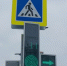 светофор - Noyabrsk-Inform.Ru