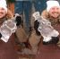 гастрофест - Noyabrsk-Inform.Ru