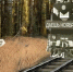 проект спектакль 3 - Noyabrsk-Inform.Ru