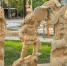 Нум. Осень - Noyabrsk-Inform.Ru