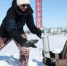 Мерзлотоведение - Noyabrsk-Inform.Ru