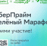 Жителей и гостей Ноябрьска приглашают на «Зеленый Марафон» - Noyabrsk-Inform.Ru