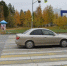 Светофор. пешеходный переход - Noyabrsk-Inform.Ru