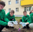 Посадка деревьев - Noyabrsk-Inform.Ru