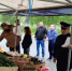 палатки рейд - Noyabrsk-Inform.Ru