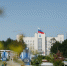город-лето - Noyabrsk-Inform.Ru