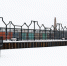 озеро Безымянное - Noyabrsk-Inform.Ru
