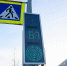 светофор, пешеходный переход - Noyabrsk-Inform.Ru