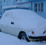 photo 2026 01 23 13 10 28 - Газета Северная вахта
