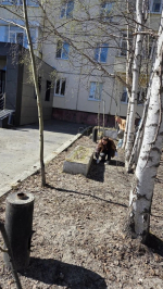 Всероссийский субботник