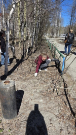 Всероссийский субботник