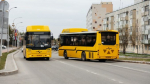 Автобусы
